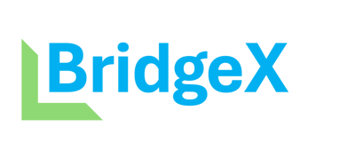 BridgeX Logo